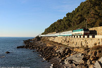 Cervo.