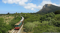 D.445 verso Segesta (2015) - Montelepre.