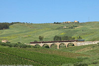 D.445 verso Segesta (2015) - Segesta.