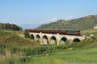 D.445 verso Segesta (2015) - Segesta.