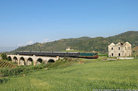 D.445 verso Segesta (2015) - Segesta.