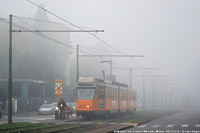 I colori dell'autunno in tram - Via Console Marcello.