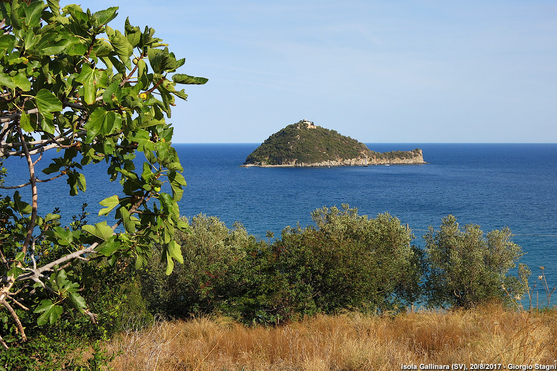 Guardando l'Isola Gallinara - Isola Gallinara.