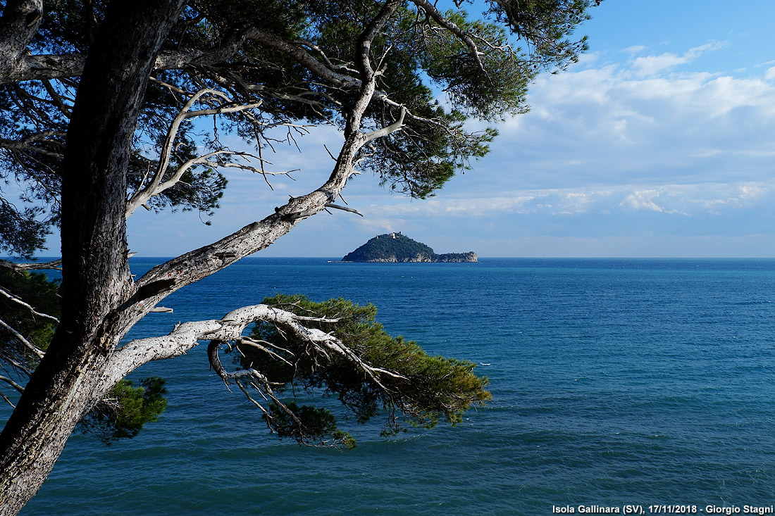 Autunno 2018 - Isola Gallinara.