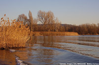 Tramonti invernali - Angera.