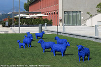 Lago Maggiore - Laveno Mombello.