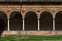 Chiese minori di Lombardia - Certosa di Pavia.