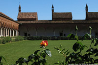 Chiese minori di Lombardia - Certosa di Pavia.