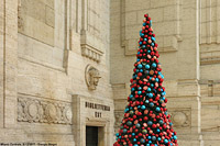L'atrio e le scalinate - Albero di Natale.