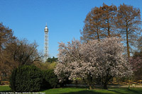 Intorno al Parco Sempione - Torre del Parco.