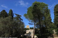 Siracusa - Teatro greco.