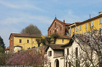 Chiese minori di Lombardia - Morimondo.