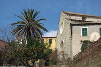 Levante verso sera - Corniglia.