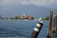 Avifauna - Isola Superiore.