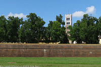 Lucca - Duomo e mura.