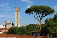 Lucca - S.Frediano.