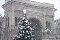 Dicembre 2020 in bianco e giallo - Galleria.
