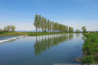 La campagna lodigiana - Canale Muzza.