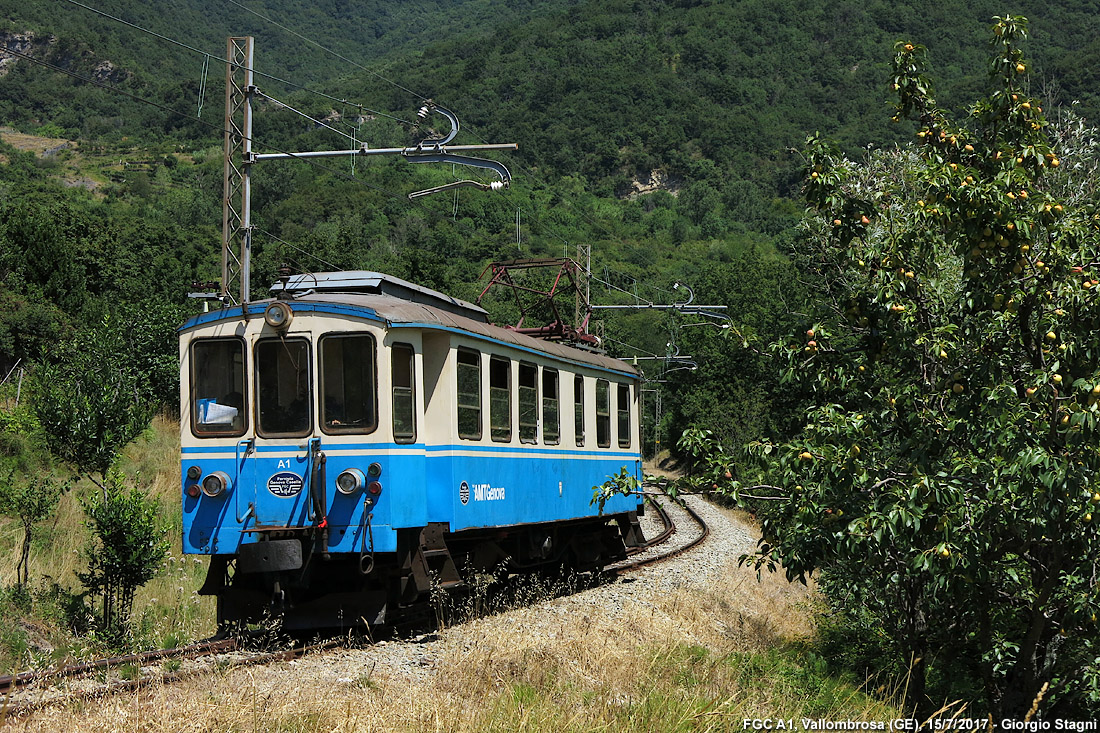 Una gita a Casella - Vallombrosa.