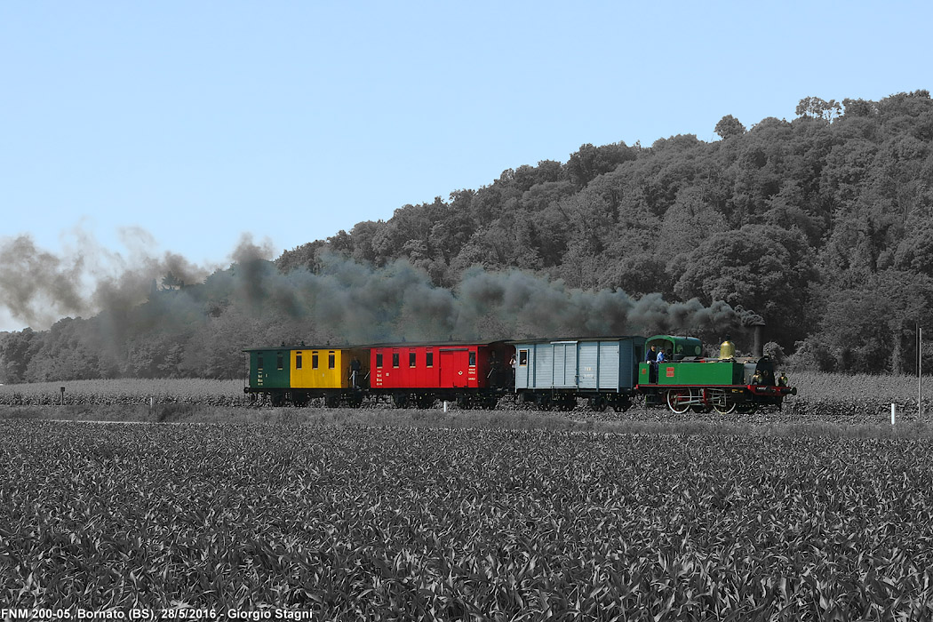 Bianconero - colore - Bornato.