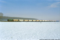 Lomellina ieri - Ferrera Erbognone.