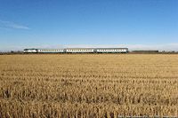 Lomellina ieri - Cava Carbonara.