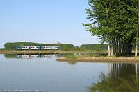 Lomellina ieri - Nicorvo.