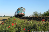 Lomellina ieri - Cava Carbonara.