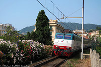 Riviera - Alassio.