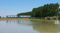 Risaie 2017 - Nicorvo.
