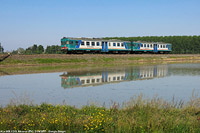 Risaie 2017 - Nicorvo.