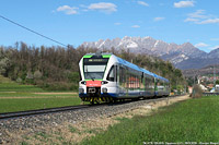 Primavera fiorita - Oggiono.