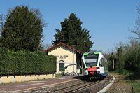 Primavera fiorita - Biassono-Lesmo.