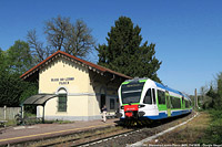 Primavera fiorita - Biassono-Lesmo.