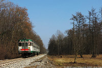 L'inverno - Anzano del Parco.