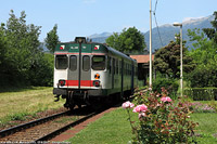L'estate - Moiana.