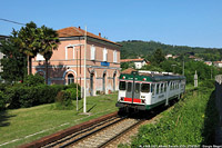 L'estate - Albate Trecallo.