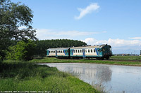 Lomellina ieri - Nicorvo.