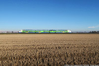 Lomellina oggi - Cava Carbonara.