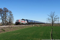 Lomellina oggi - Torreberetti.