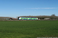 Lomellina oggi - Ferrera Erbognone.