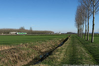 Lomellina oggi - Ferrera Erbognone.