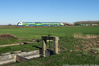 Lomellina oggi - Ferrera Erbognone.