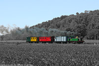 Bianconero - colore - Bornato.