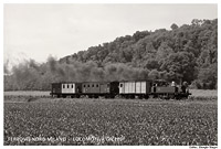 Ferrovie Nord Milano - Bornato.