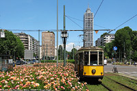 I tram del 2017 - P.za Repubblica.