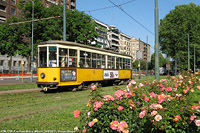 I tram del 2017 - P.za Repubblica.