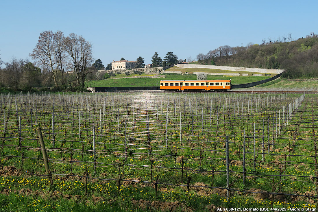 Giallo Marte in Franciacorta - Bornato.