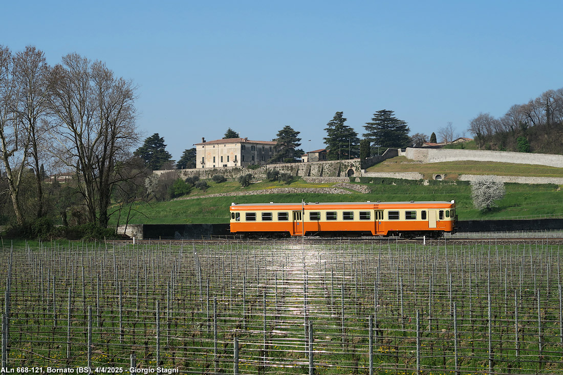 Giallo Marte in Franciacorta - Bornato.