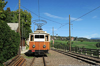 Renon 2025 - L'Assunta/M. Himmelfahrt.